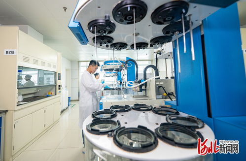 奮力譜寫中國式現(xiàn)代化建設河北篇章 | 解碼石藥 創(chuàng)新引領的“藥”素密碼